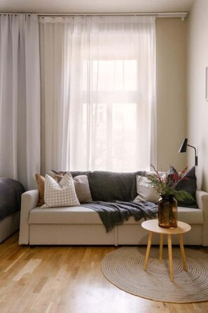 Fernseher, Arbeitsbereiche