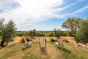Property grounds - Holiday Home 'Fienile' with Shared Pool, Garden and Wi-Fi (Castelnuovo Berardenga)