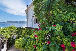 Property grounds - Apartment 'Standard  with Sea View 1' with Sea View, Wi-Fi and Air Conditioning (Nikiana)