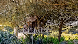 Une cabane perchée dans un arbre, dotée d’une terrasse en bois et d’une petite structure en forme de cabine.