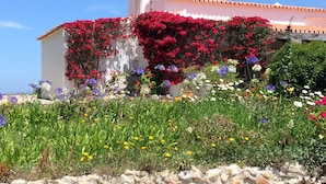 Un bâtiment à la façade blanche, orné de fleurs rouges qui grimpent le long du mur.