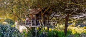 Holiday Home 'Casa Do Mar' with Sea View, Private Pool and Wi-Fi