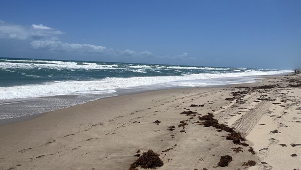 Une plage avec des vagues, des algues et des empreintes de pas.