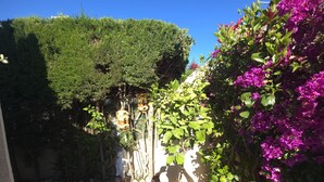 A potted plant in a white pot, a stone-tiled patio, and a hedge. - Villa "Solaris" with Shared Pool & Wi-Fi (Torrevieja)