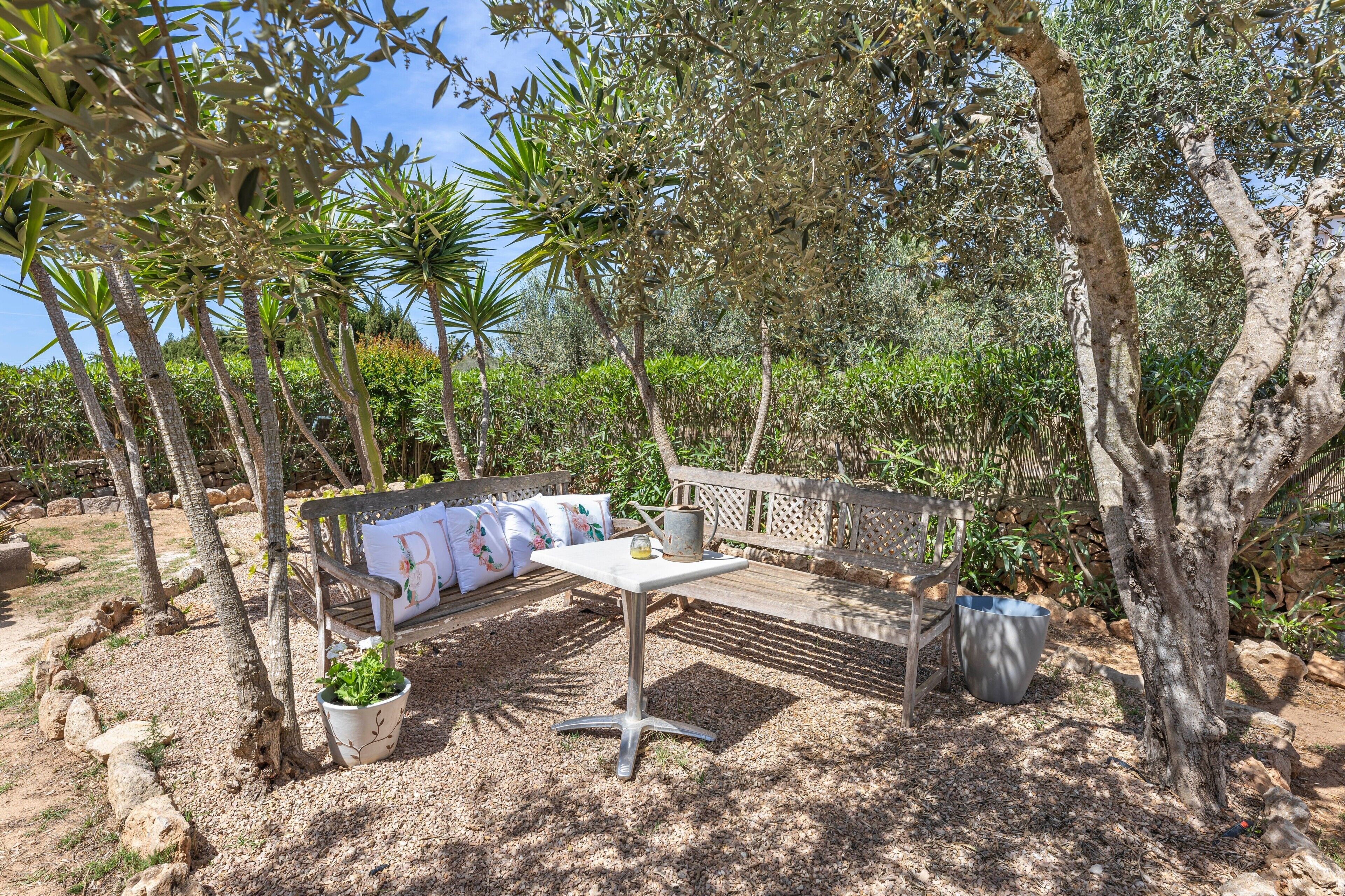An outdoor seating area with a table and benches, surrounded by trees and plants.