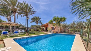 Une piscine avec des chaises longues, des palmiers et une maison en arrière-plan.