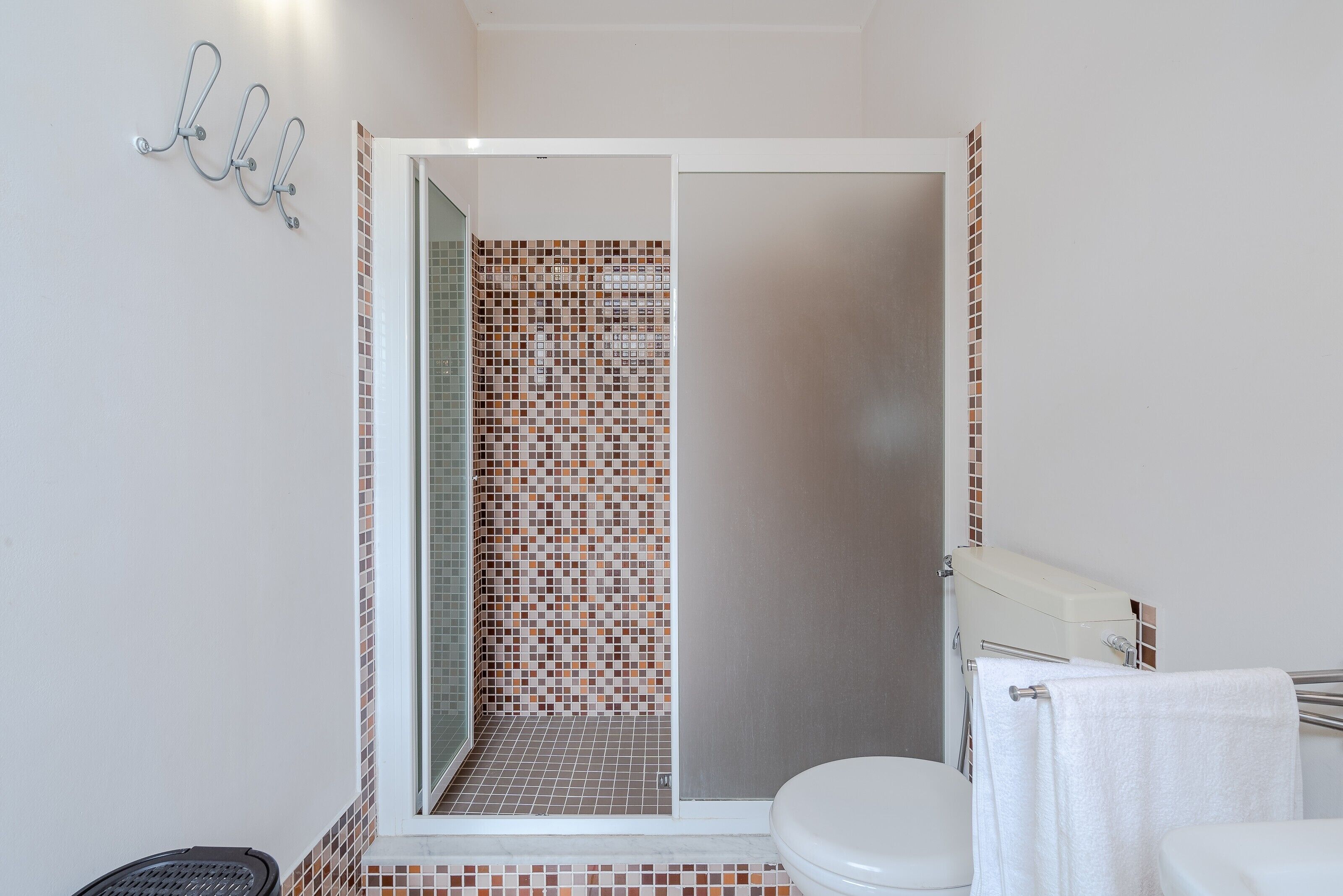 Une salle de bain avec une douche, des toilettes et un porte-serviettes.