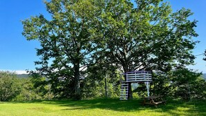 Puinen leikkimökki, johon pääsee tikapuita pitkin, piknikpöytä ja kirkkaan sininen taivas.