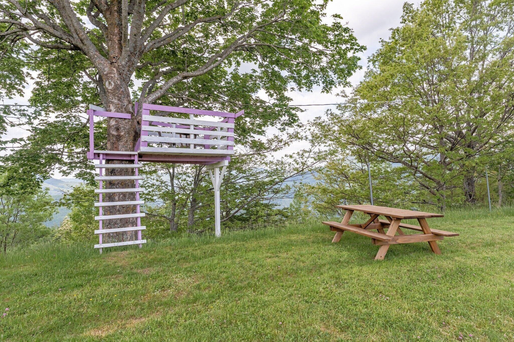 A picnic table and a wooden structure with a ladder, surrounded by grass and trees.