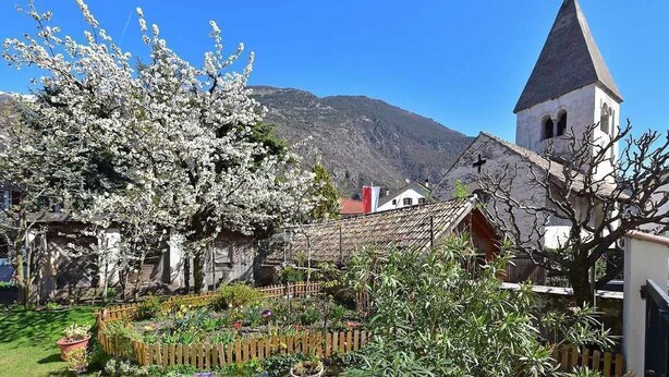 Un pueblo con una iglesia, un árbol en flor y montañas al fondo.