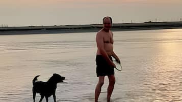 Ferienhütte | Strand | Privatstrand in der Nähe, Liegestühle, Sonnenschirme, Strandtücher