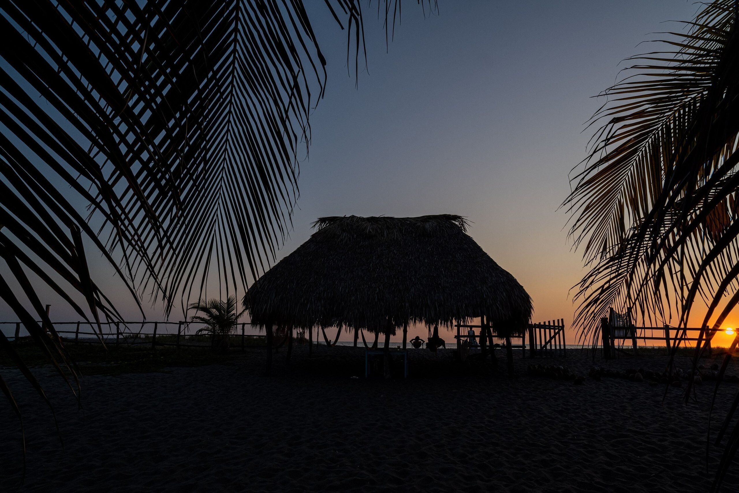 Gần bãi biển riêng, ghế dài tắm nắng, dù trên bãi biển, khăn tắm biển 