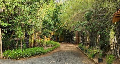 Bandhavgarh Meadows