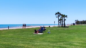 A grassy area with people relaxing near a beach, palm trees, and a clear blue sky.