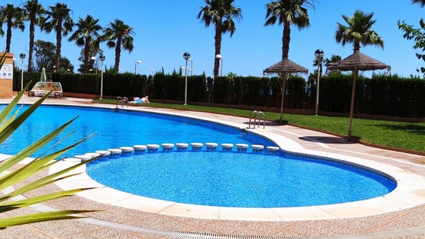 A swimming pool with a tiled deck, palm trees, and a clear blue sky.