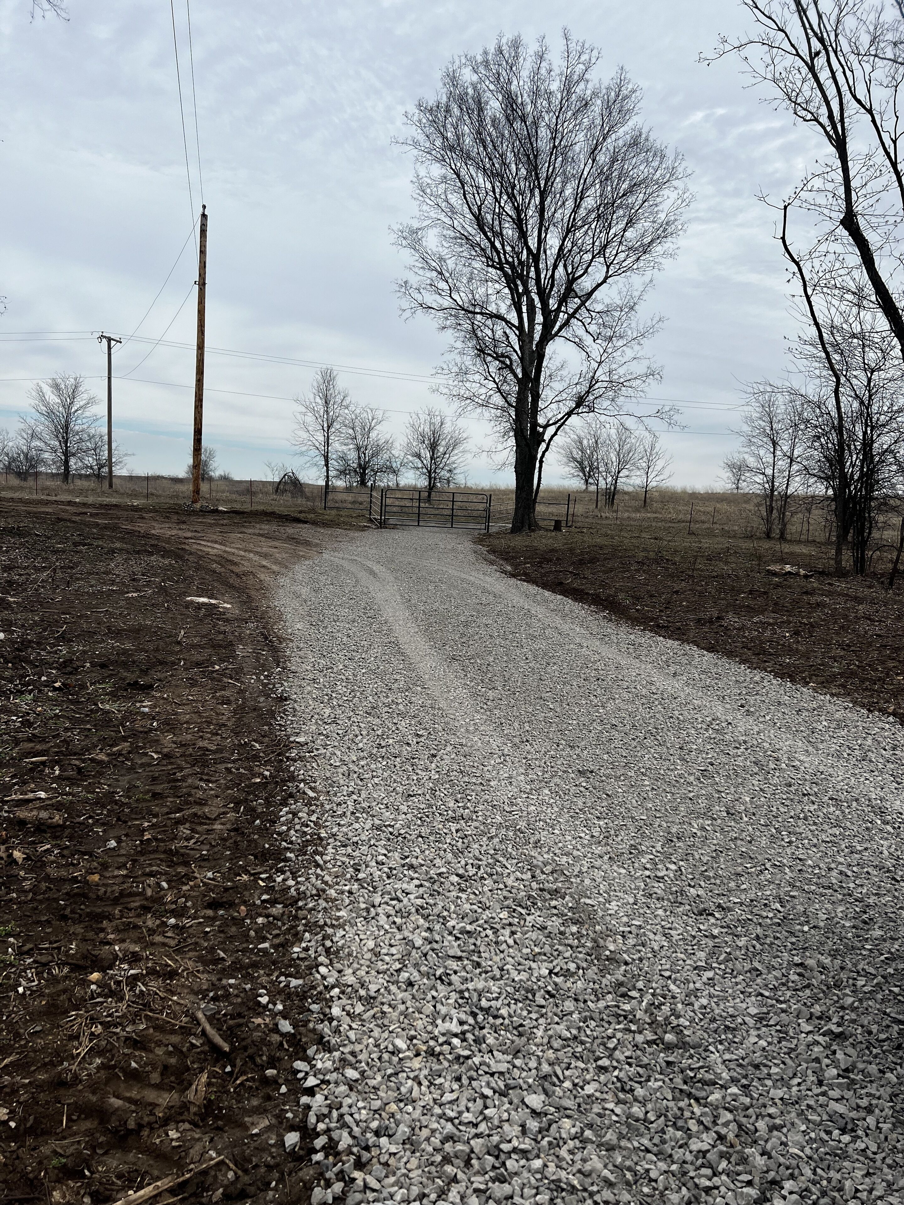 A gravel road leading through a rural area with leafless trees and utility poles.