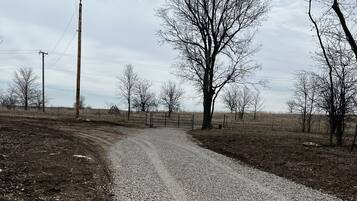 A gravel road leading through a rural area with leafless trees and utility poles.
