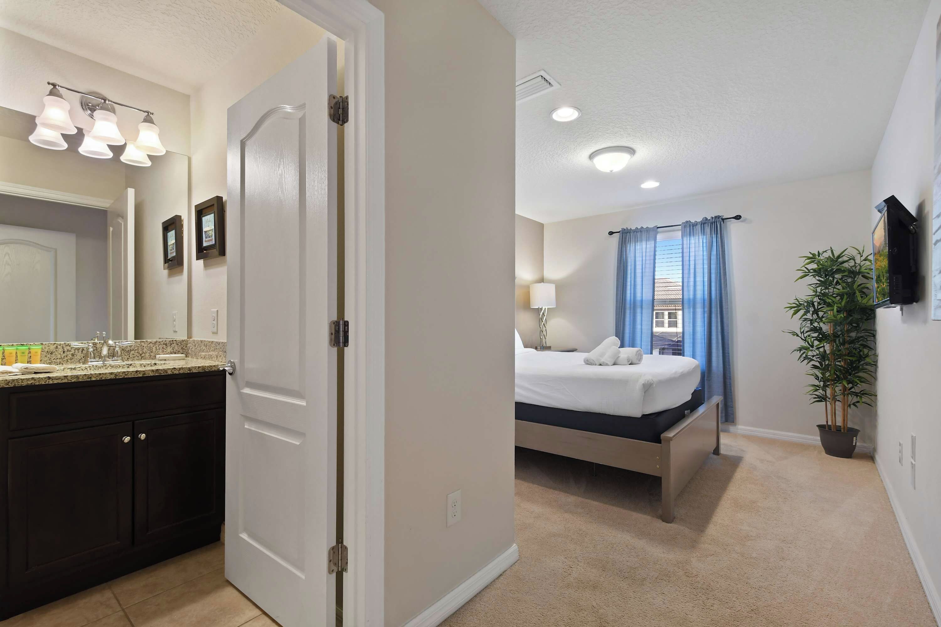 Une chambre d’hôtel avec une salle de bain, un lit, une télévision et une plante en pot.
