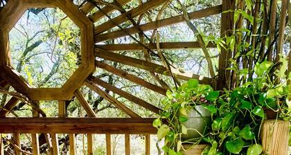 Master Suite at the Honeycomb (shared house)