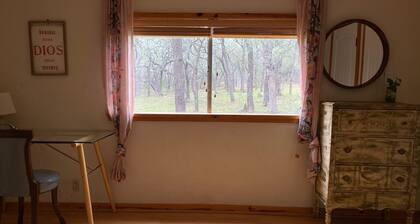 Honey Comb Guest Suite (shared house)