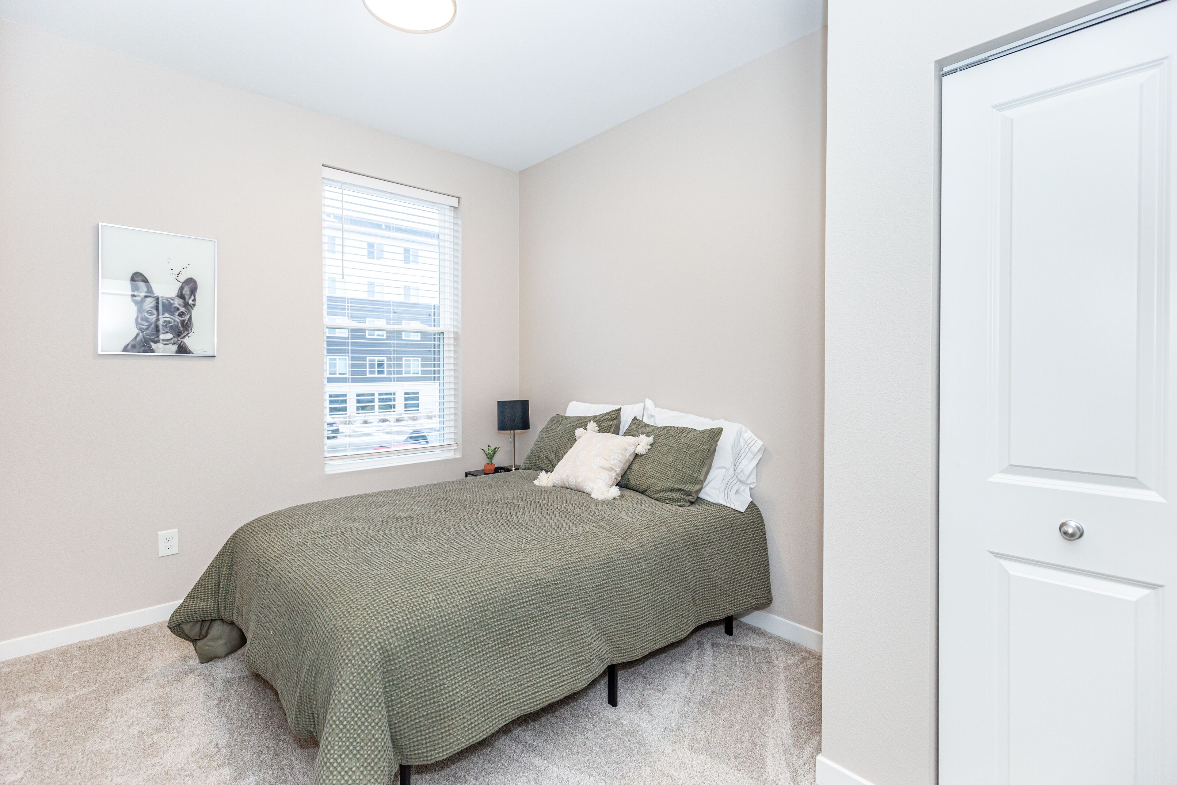 A bedroom with a bed, a window with blinds, a wall-mounted picture, and a white door.