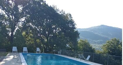 Agréable appartement pour 8 personnes avec WIFI, piscine et animaux admis