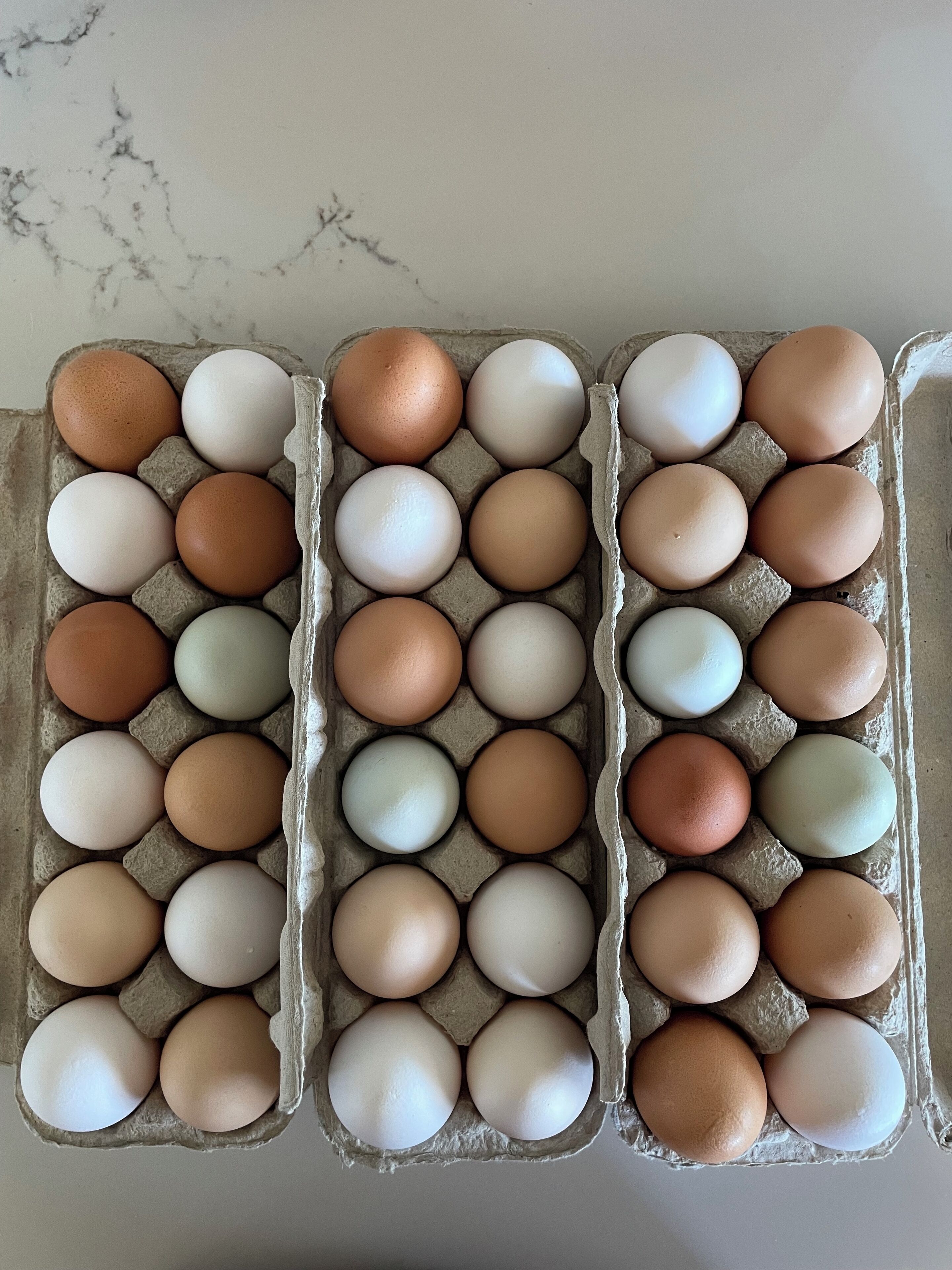 En kartong med ägg, ordnade i flera rader och kolumner.