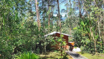 Ulkoalueet