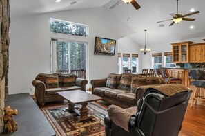 Télévision, cheminée, espaces bureaux