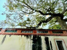 City view from property