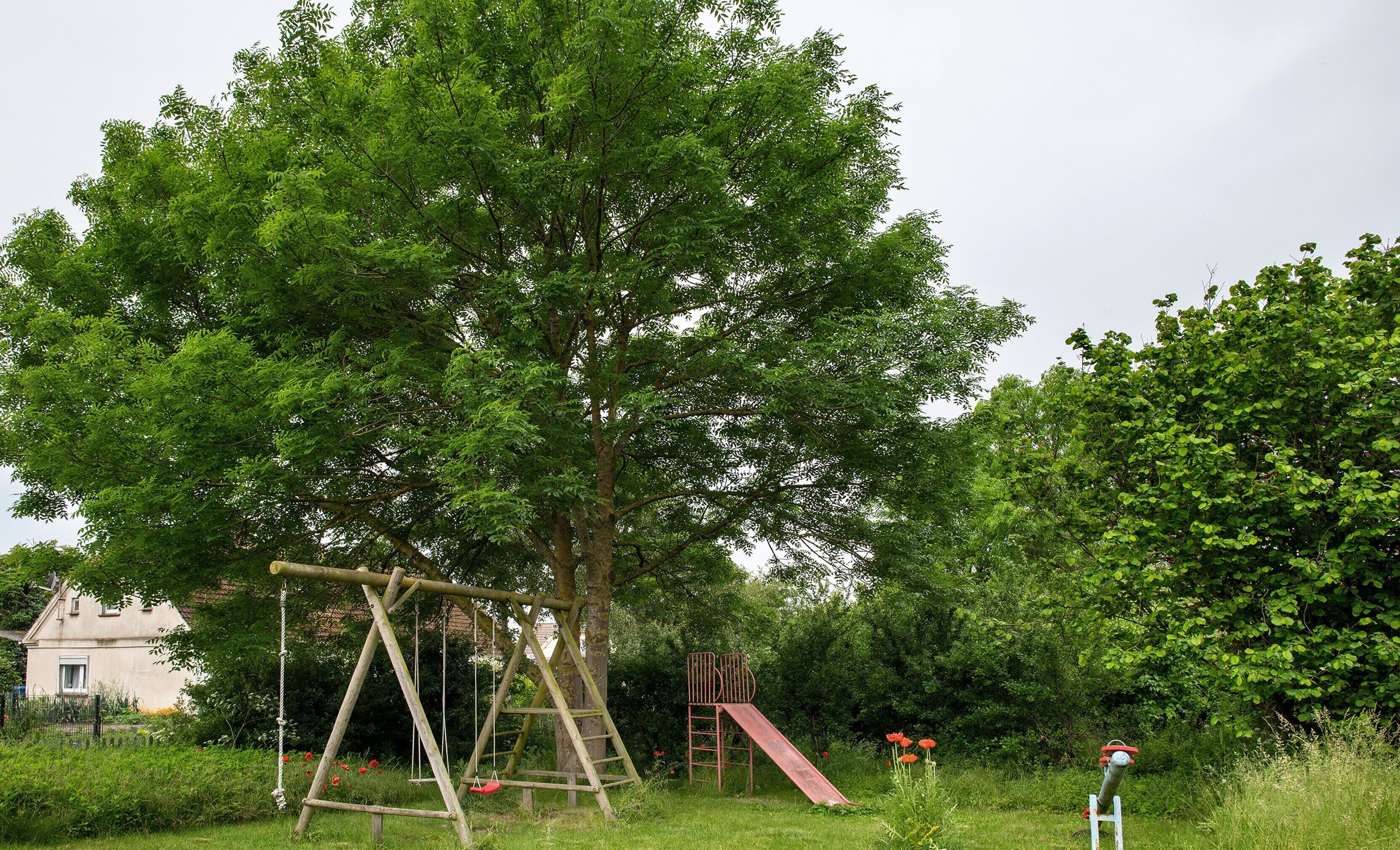 Children’s area