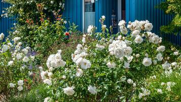 DĂ©tail de lâextĂ©rieur