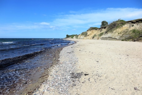 On the beach. Holiday home 'Möve ABA Apartment 11' with shared garden and WLAN