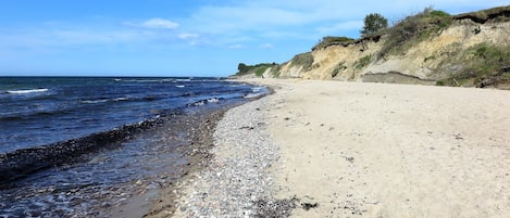 Nära stranden