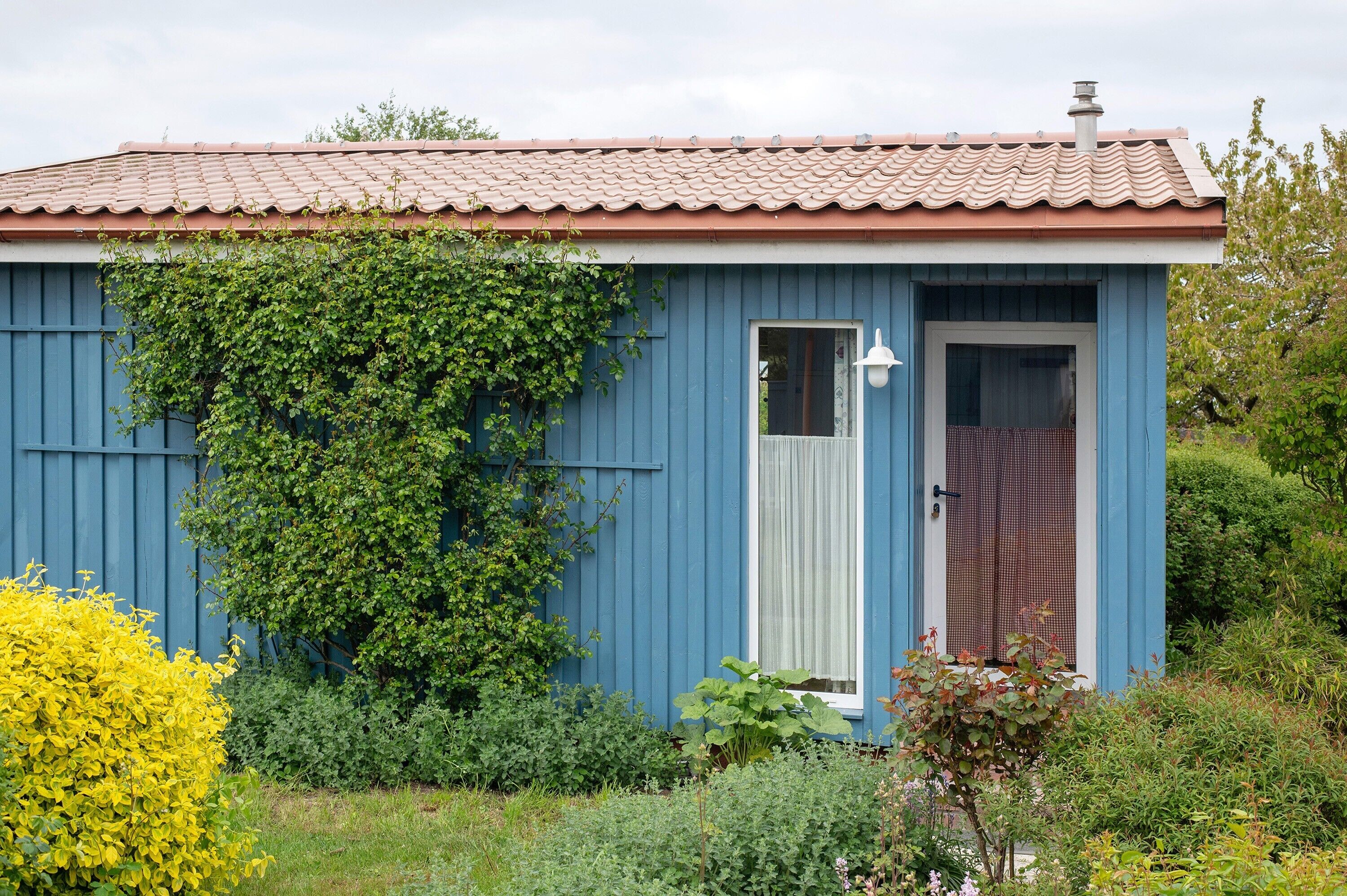 Een klein blauw gebouw met een pannendak, een deur met gordijn en een tuin met diverse planten.