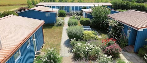 A row of blue mobile homes with a garden pathway in between.