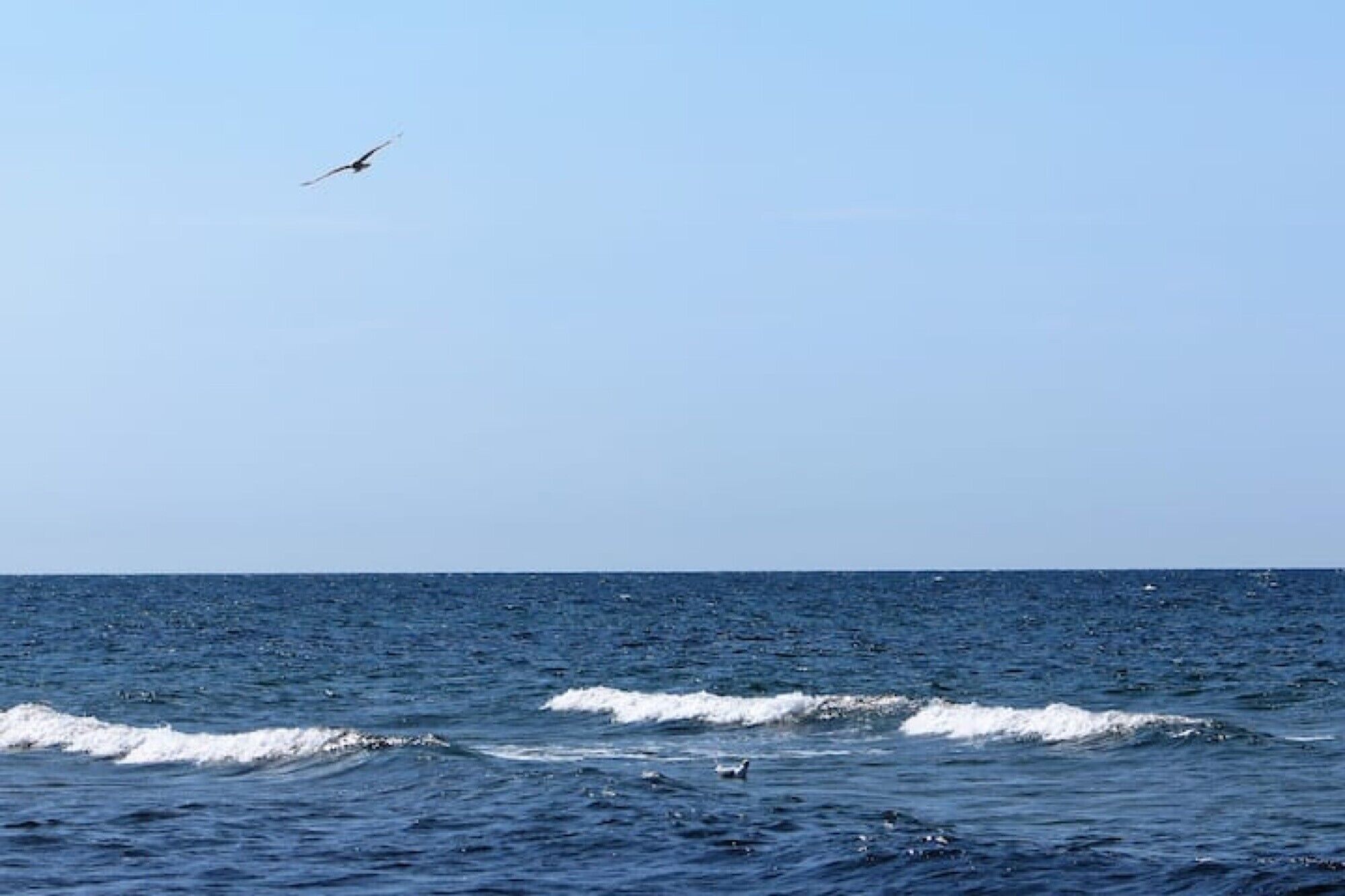 A view of the ocean with waves and a bird flying in the sky.