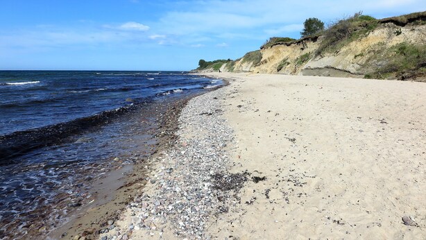 Een strand met een rotsachtige kustlijn, helderblauwe lucht en een klif begroeid met begroeiing.
