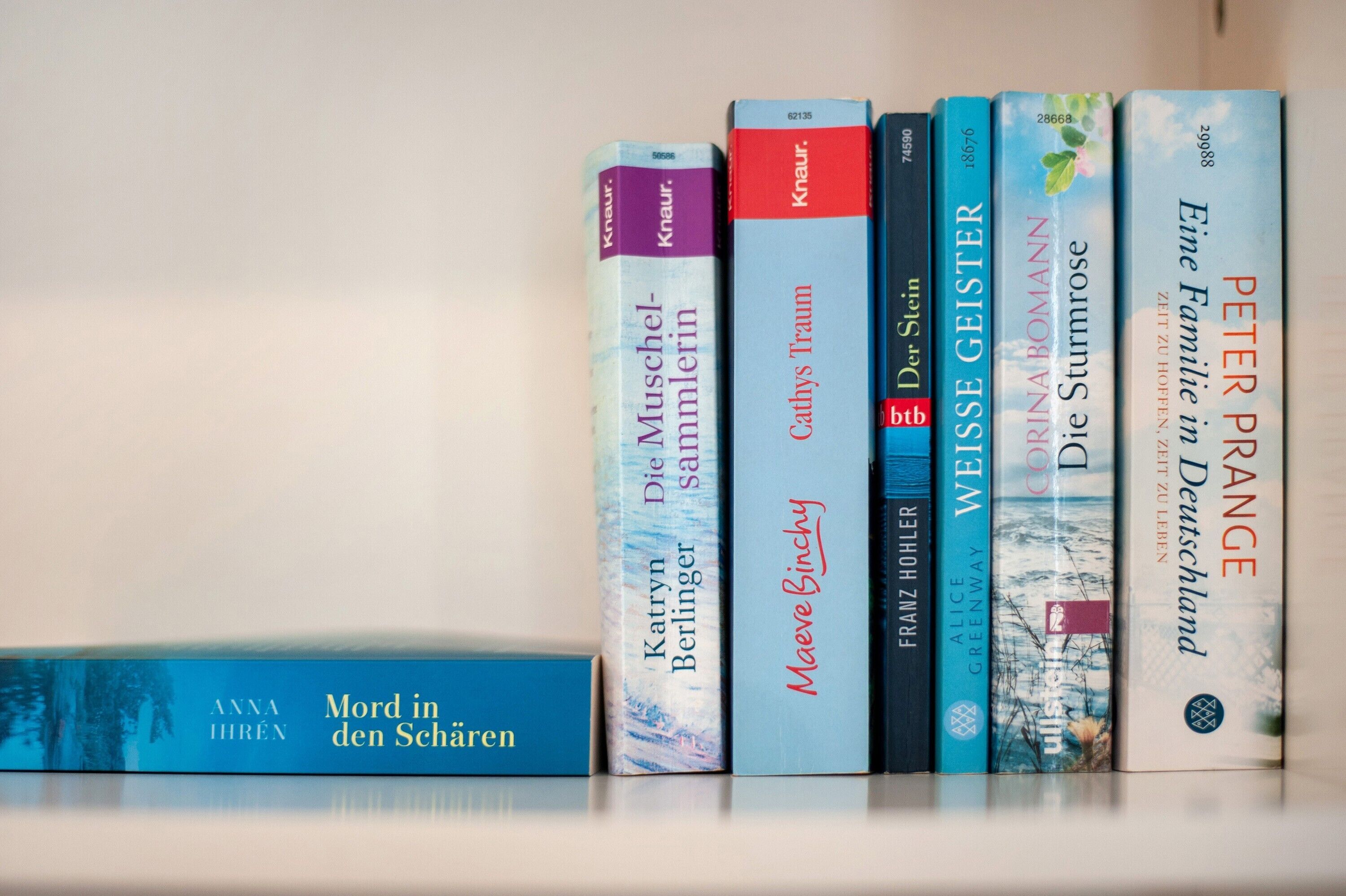 A row of books on a shelf.