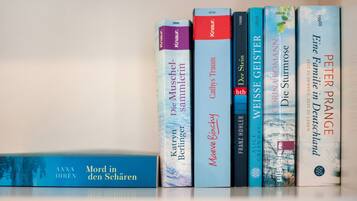 A row of books on a shelf.