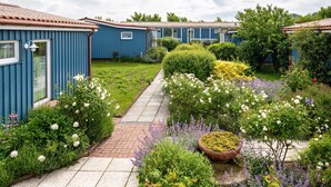A row of blue buildings with a paved pathway and garden beds with various flowers. - Holiday home "Möve ABA Bungalow 62" with private terrace and WLAN (Rerik)