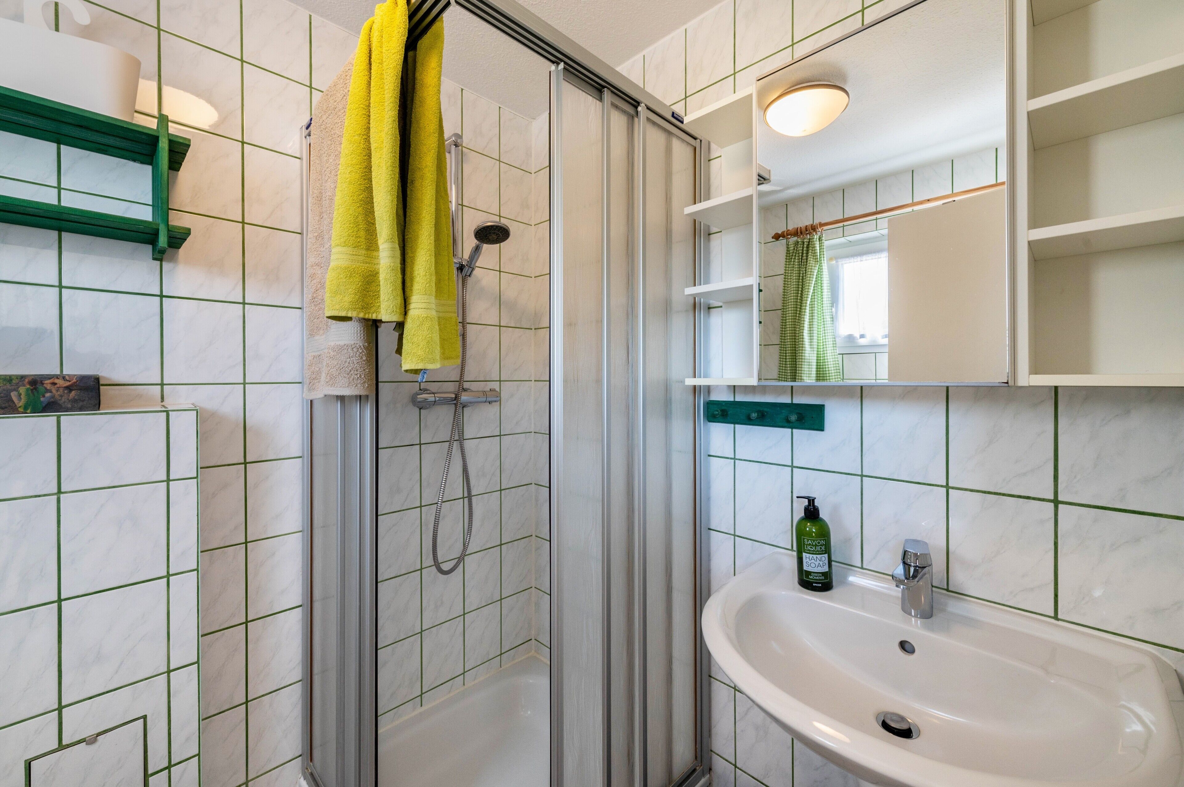 Un baño con ducha, lavamanos y estanterías con marco verde.