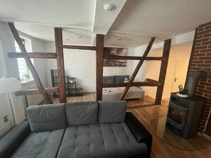 TV, fireplace - Holiday Apartment 'Grünes Haus Dornburg' with Wi-Fi (Dornburg-Camburg)