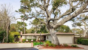 Une maison de plain-pied avec un grand arbre dans le jardin.