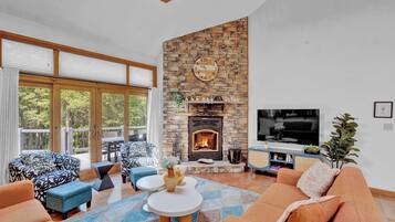 TV, fireplace, video games, DVD player