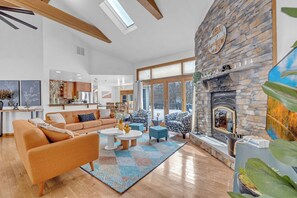 Télévision, cheminée, jeux vidéo, lecteur de DVD