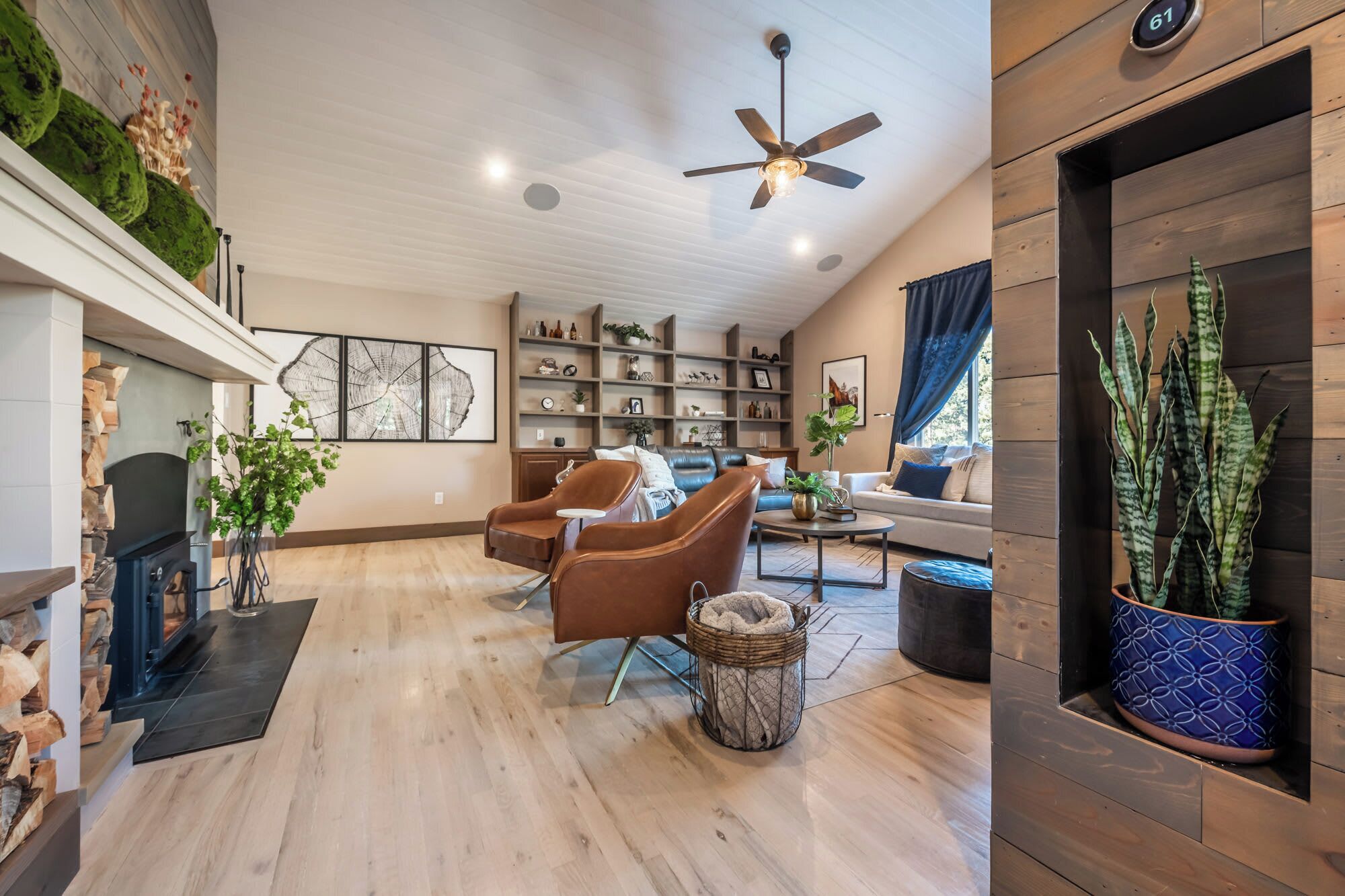 TV, fireplace, stereo