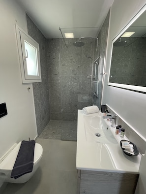 Apartment, 2 Bedrooms, Accessible, Smoking | Bathroom