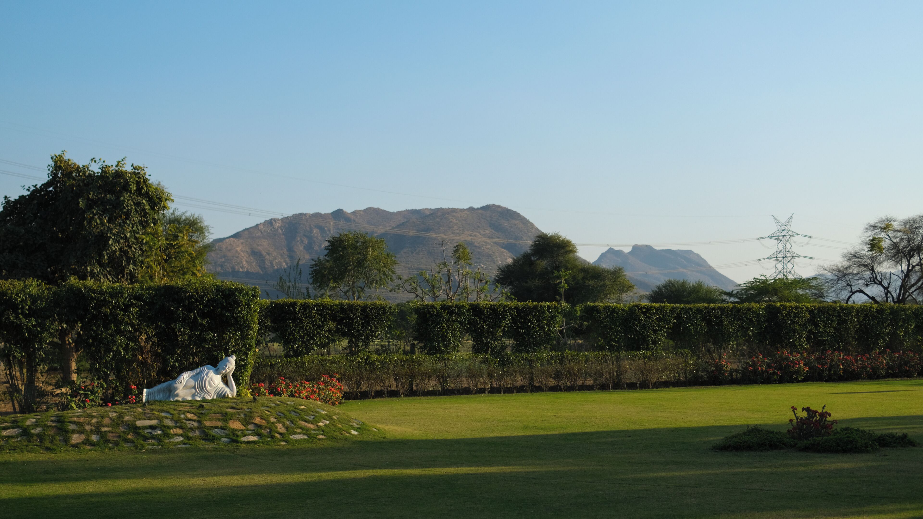 Blick auf den Garten