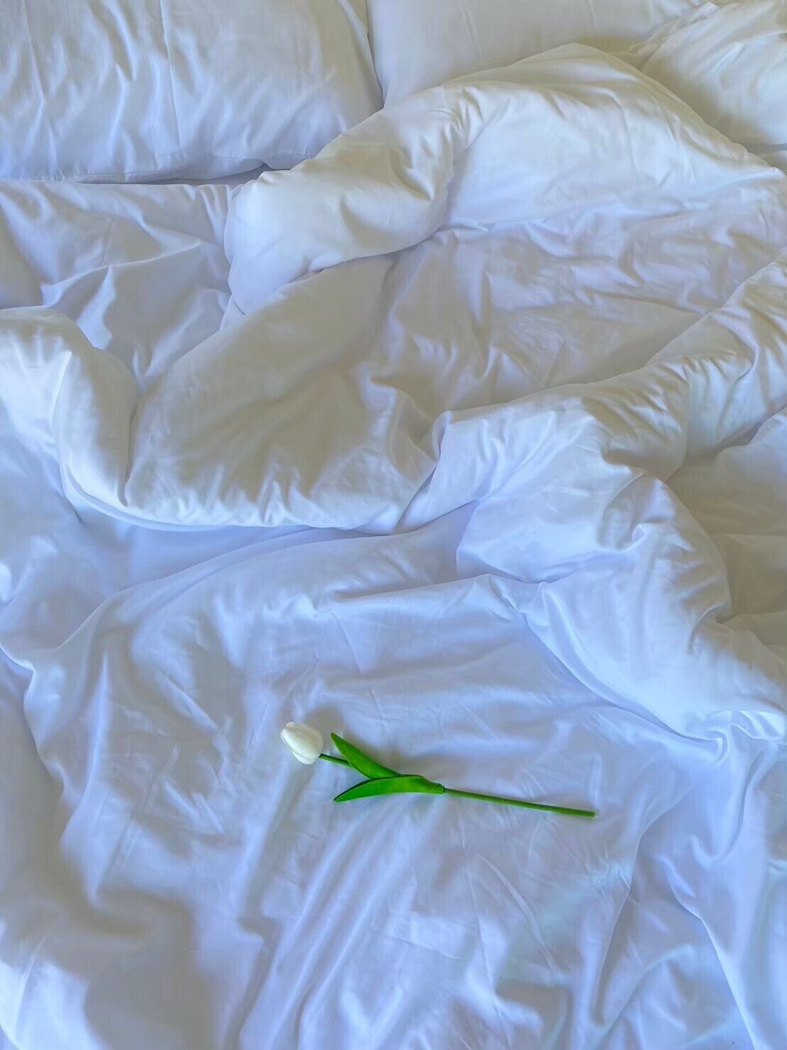 A white bedspread with a single white tulip flower.